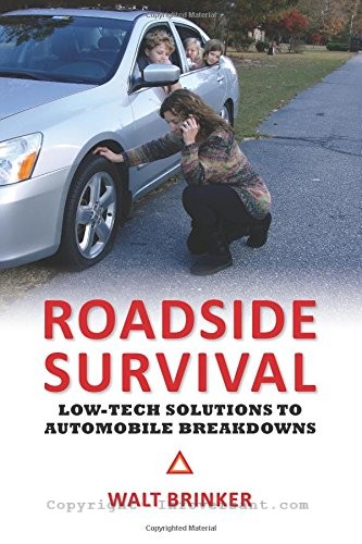 roadside-survival