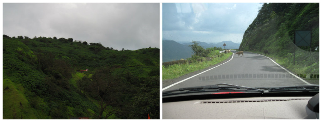 goa-road-trip-western-ghats