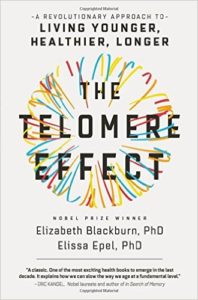 the telomere effect summary review