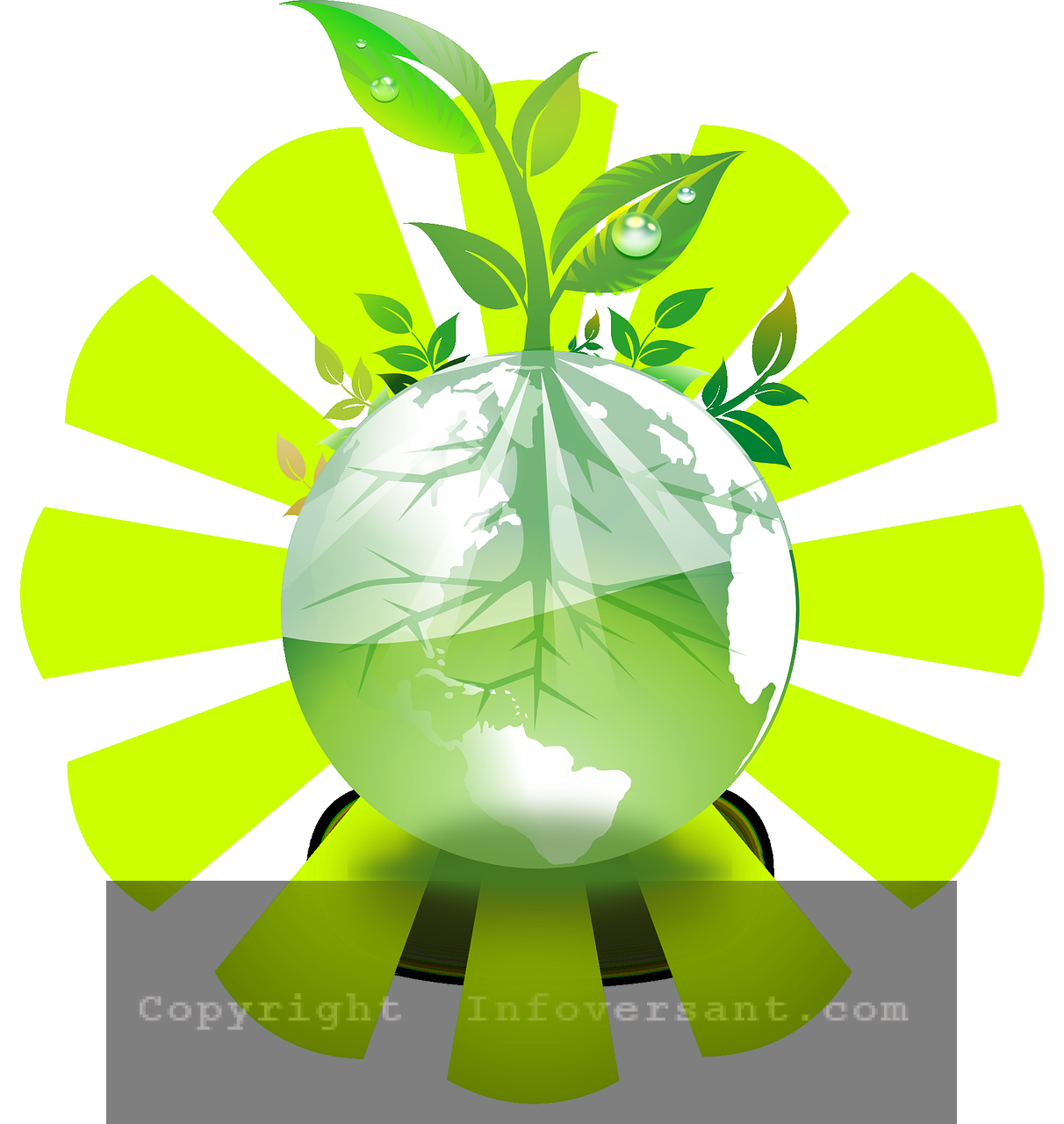 Green Living Hacks That Put Money in Your Pocket